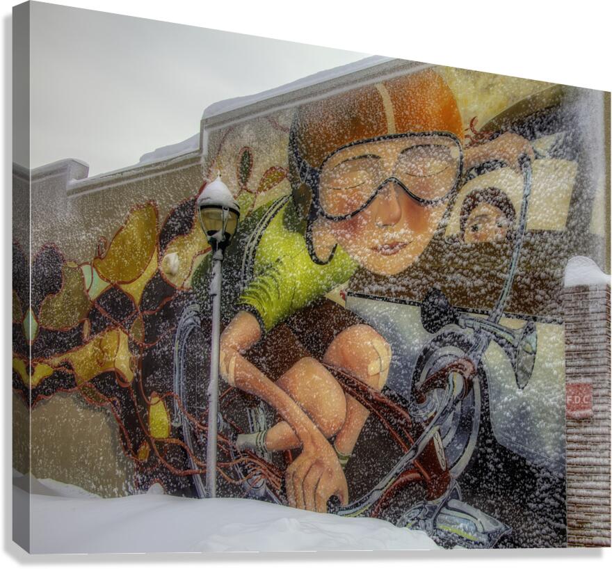 MIS 01070 Canvas Print