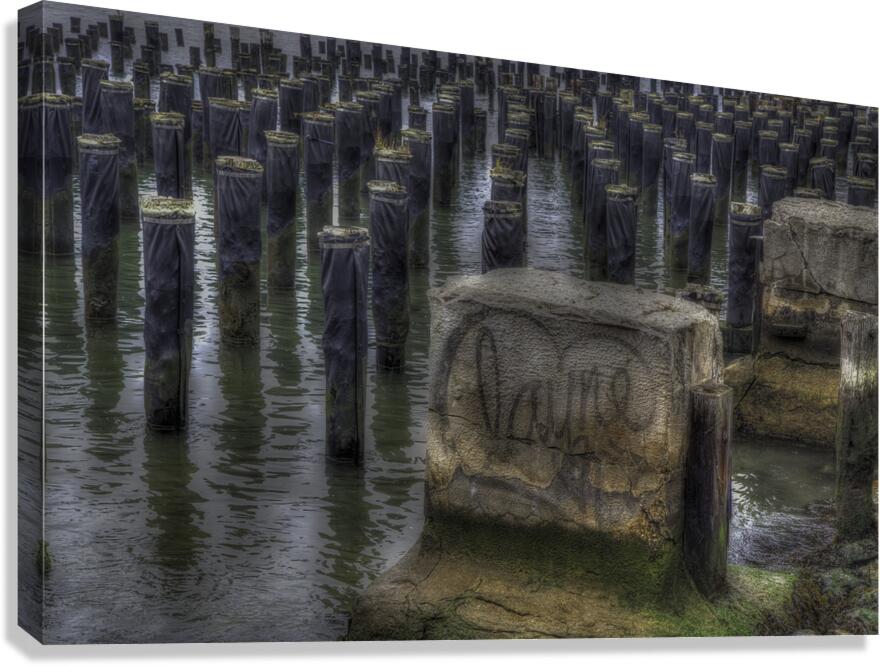 MIS 01105 Canvas Print