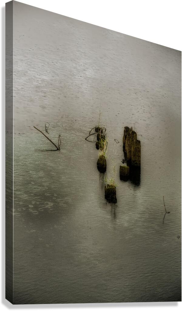 MIS 01168 Canvas Print