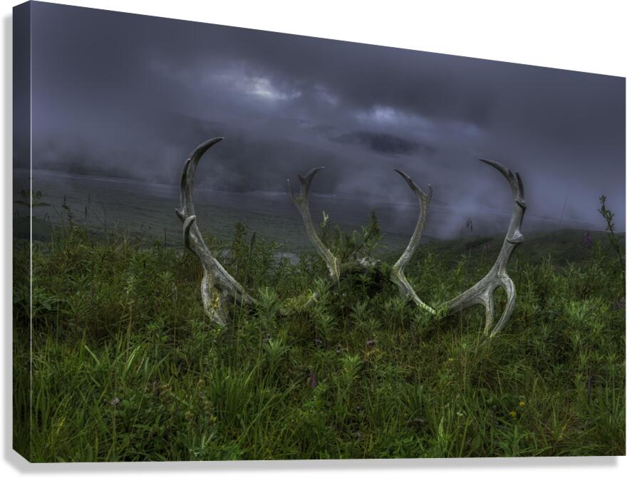 MIS 01161 Canvas Print