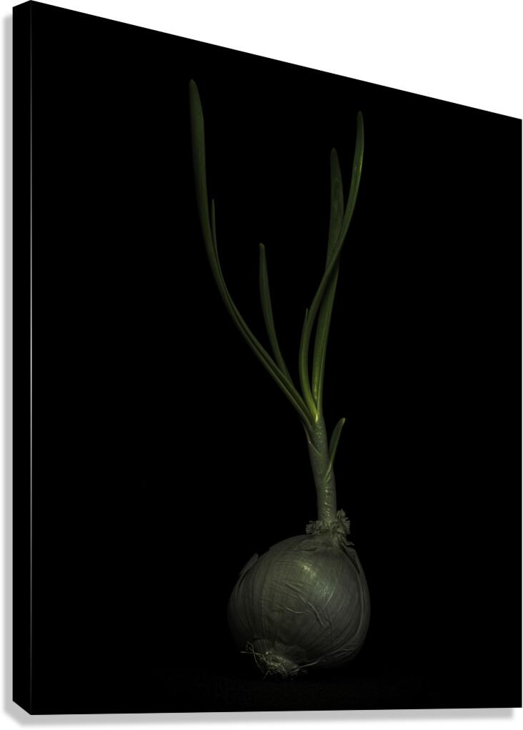 MIS 01165 Canvas Print