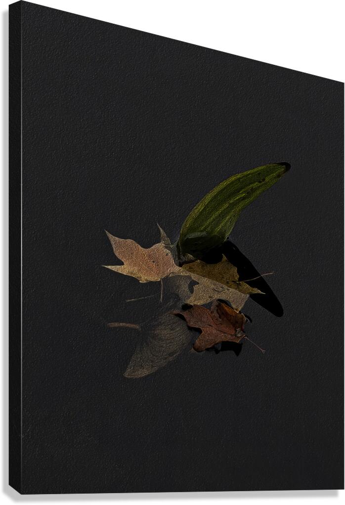 MIS 01163 Canvas Print