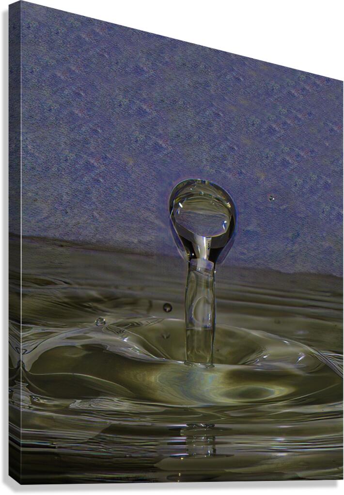 MIS 01178 Canvas Print