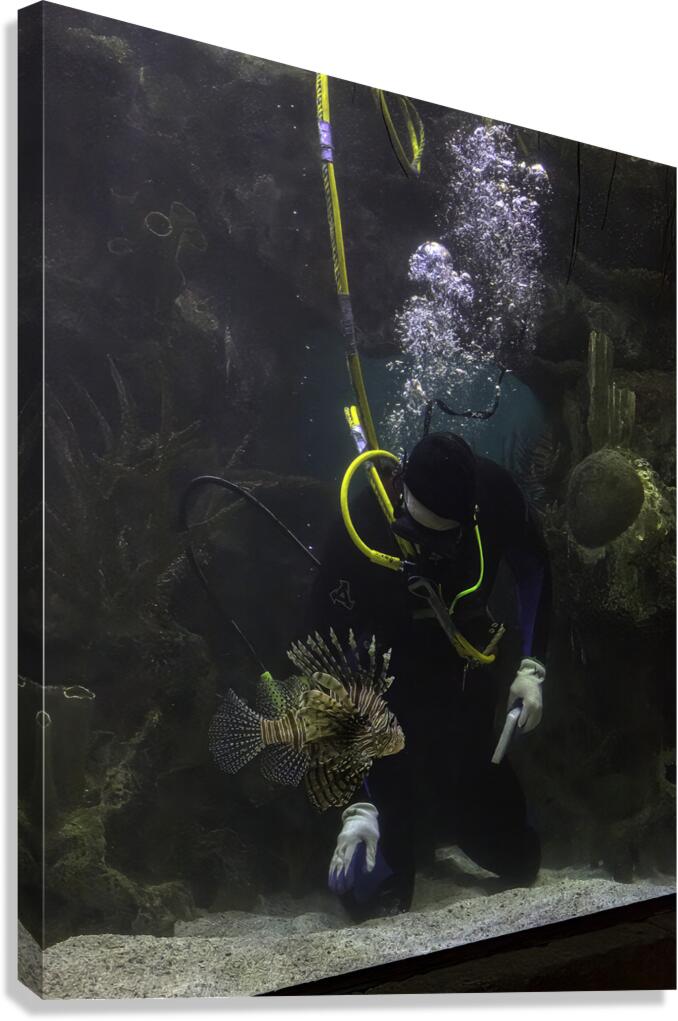 MIS 01138 Canvas Print