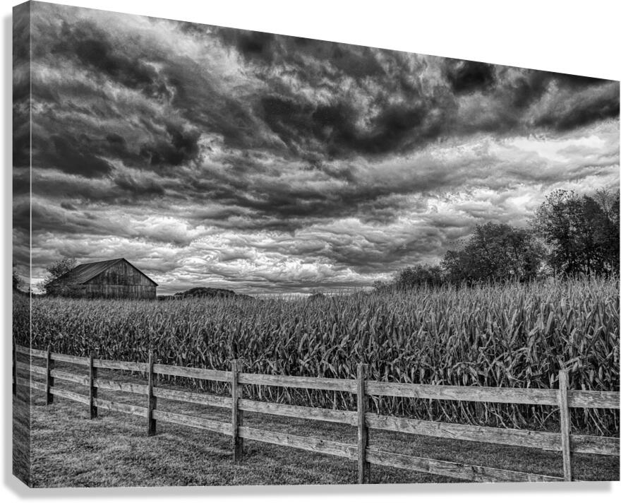 MIS 01139 Canvas Print