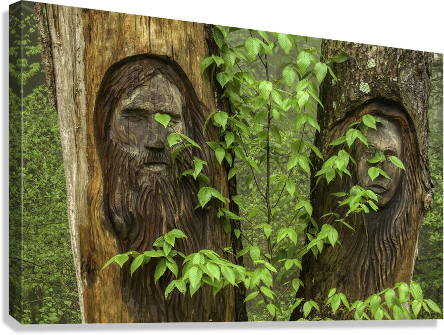MIS 01147 Canvas Print