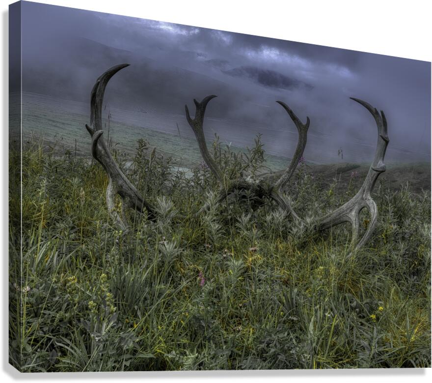 MIS 01124 Canvas Print