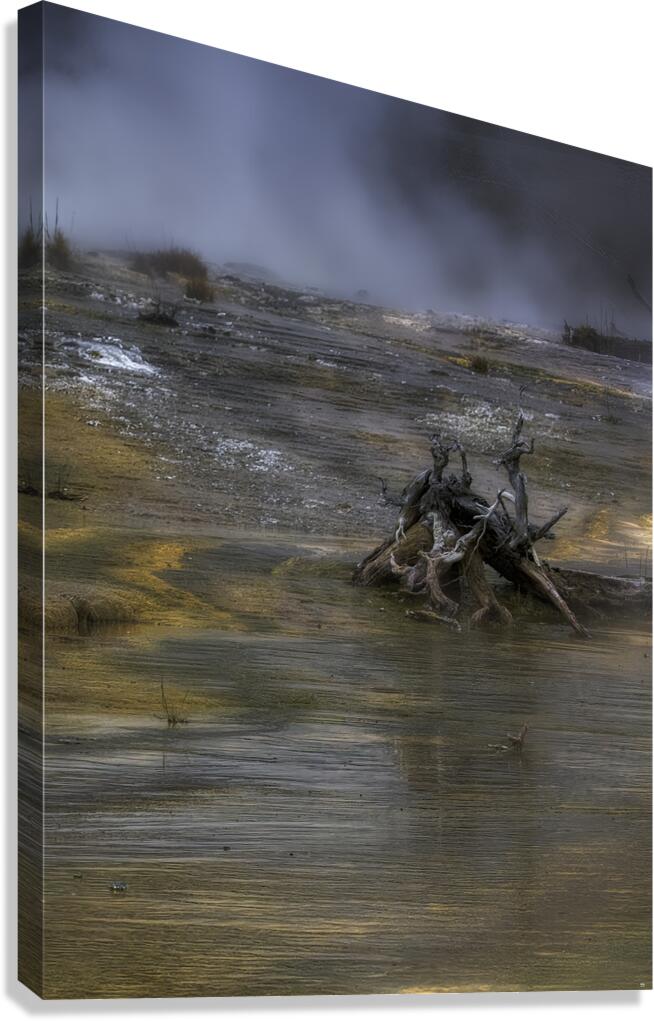 MIS 01128 Canvas Print