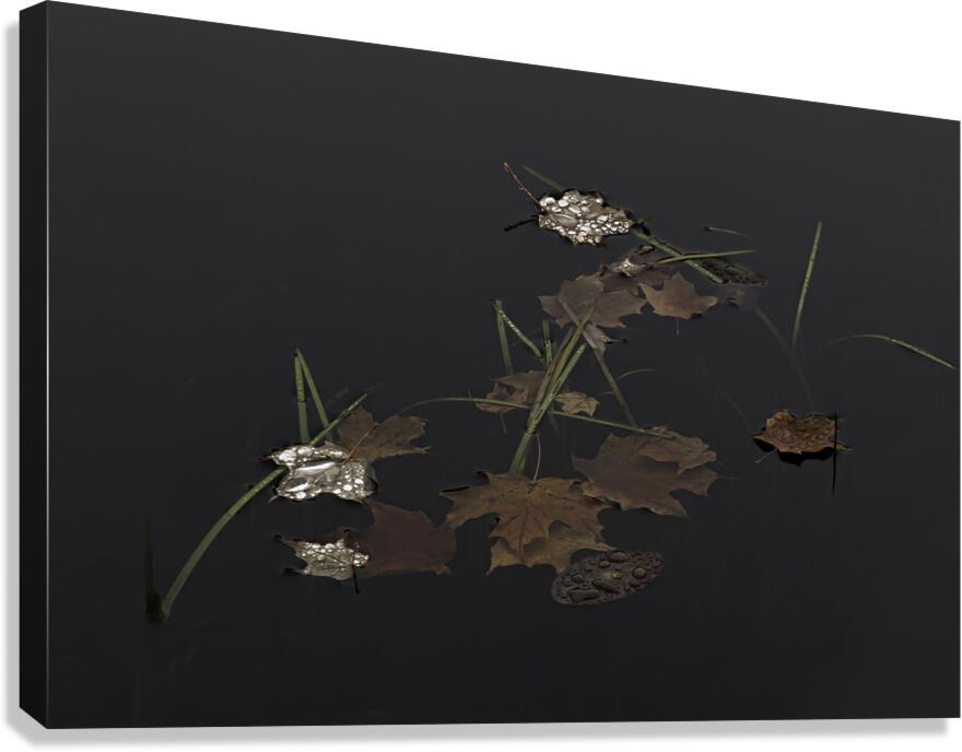 MIS 01119 Canvas Print