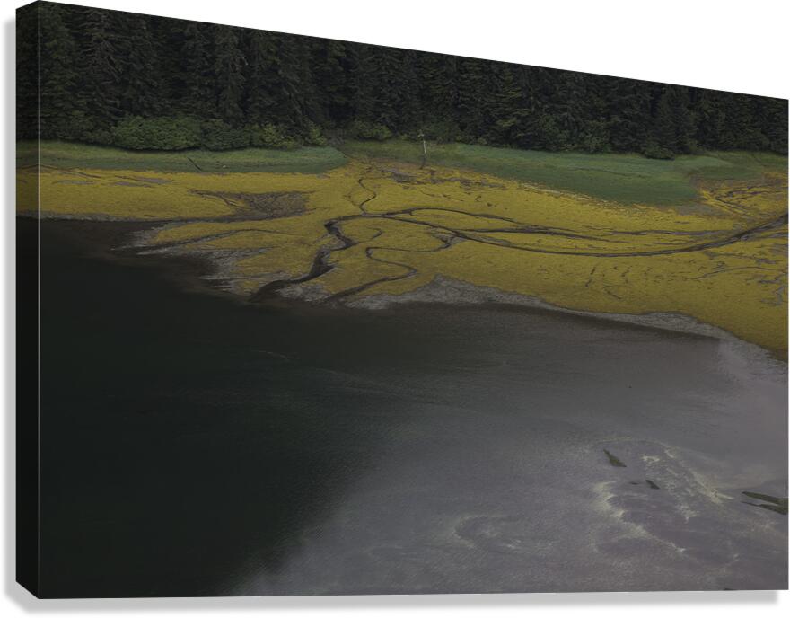 MIS 01143 Canvas Print