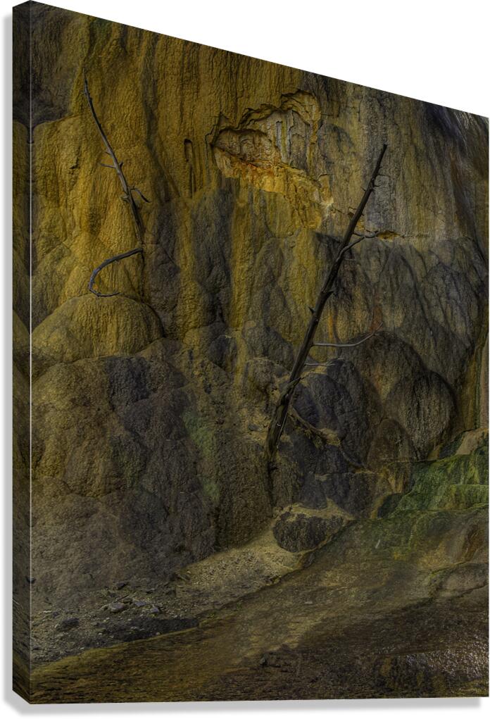 MIS 01127 Canvas Print