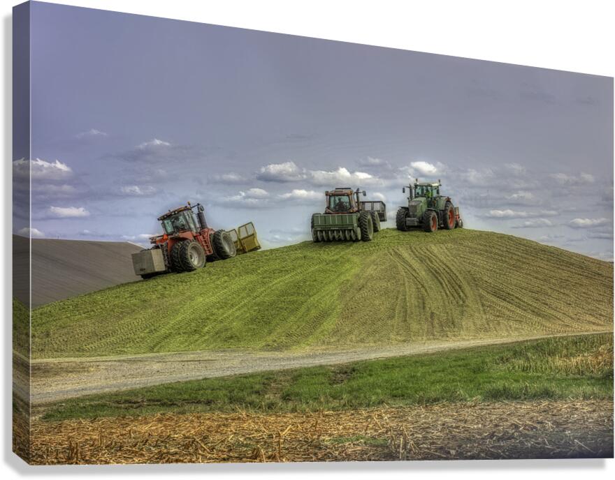 MIS 01115 Canvas Print