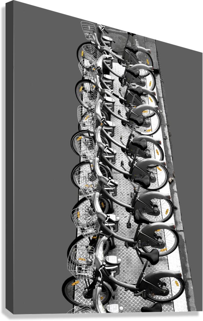 MIS 01184 Canvas Print