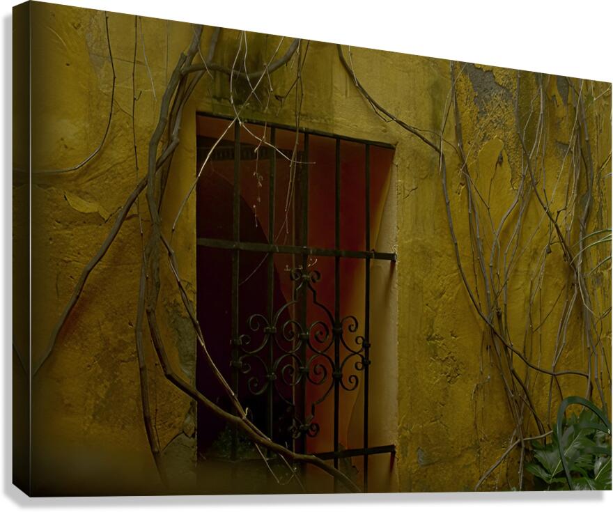 MIS 01187 Canvas Print