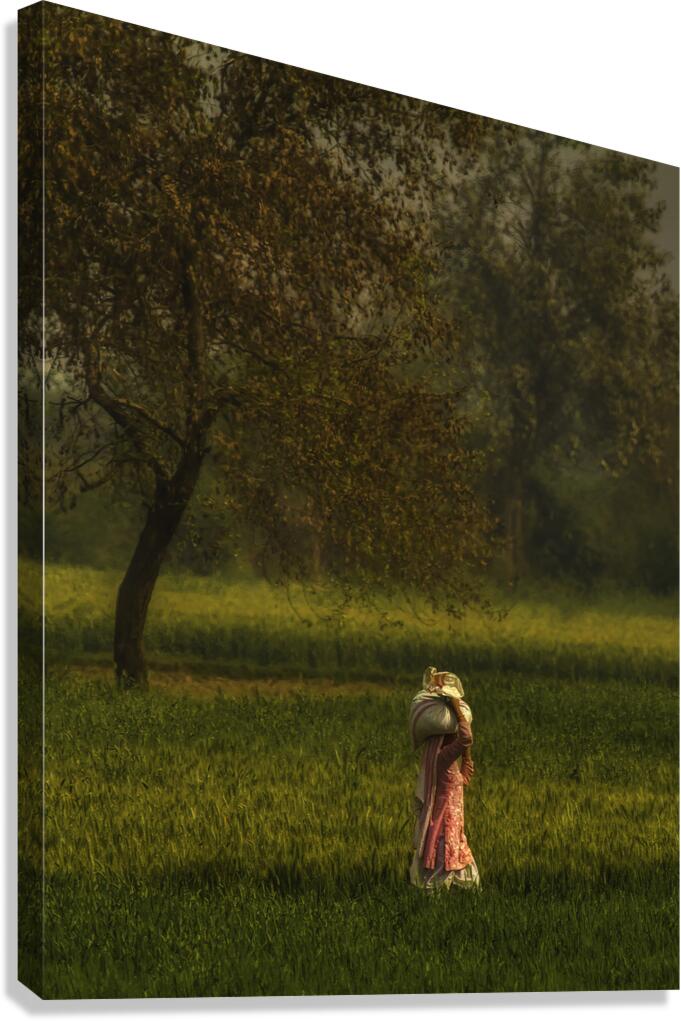 PEO 01294 Canvas Print