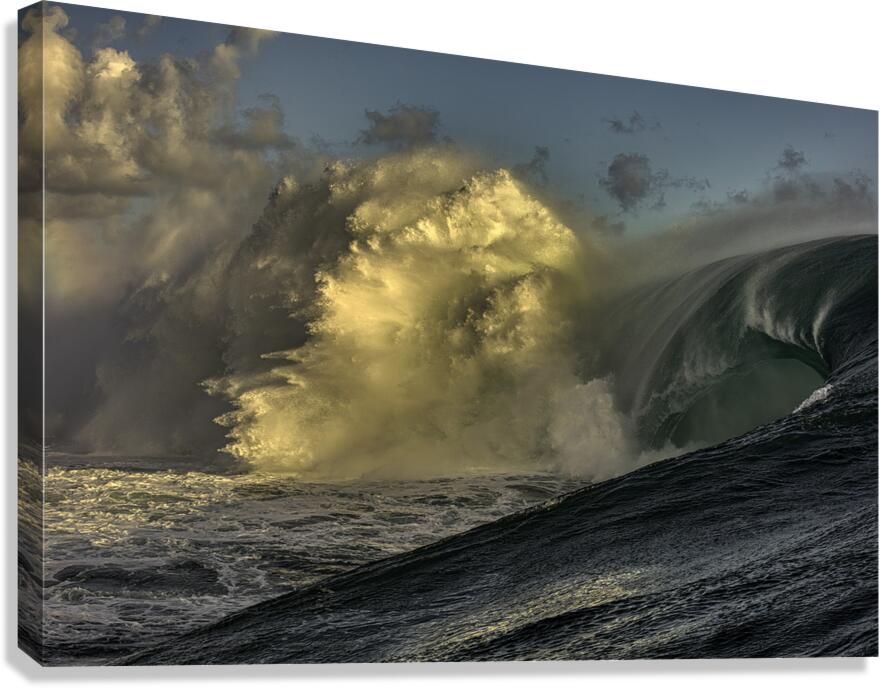 ACT 01454 Canvas Print
