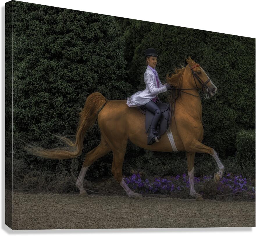 ACT 01485 Canvas Print