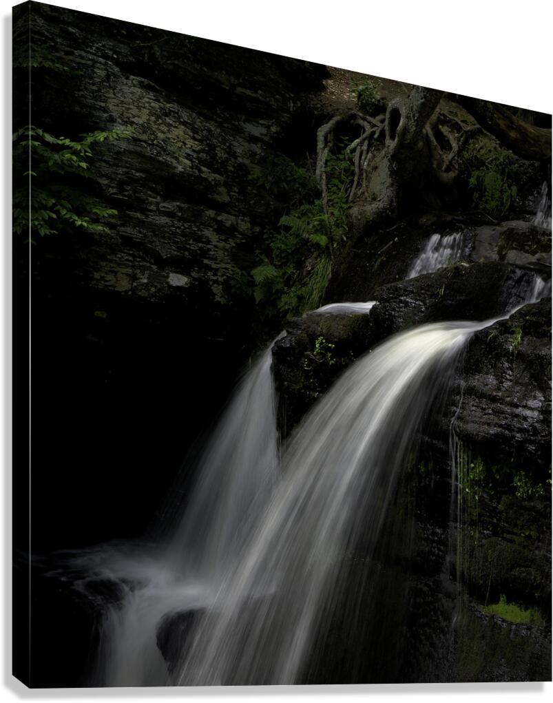 WAT 01629 Canvas Print