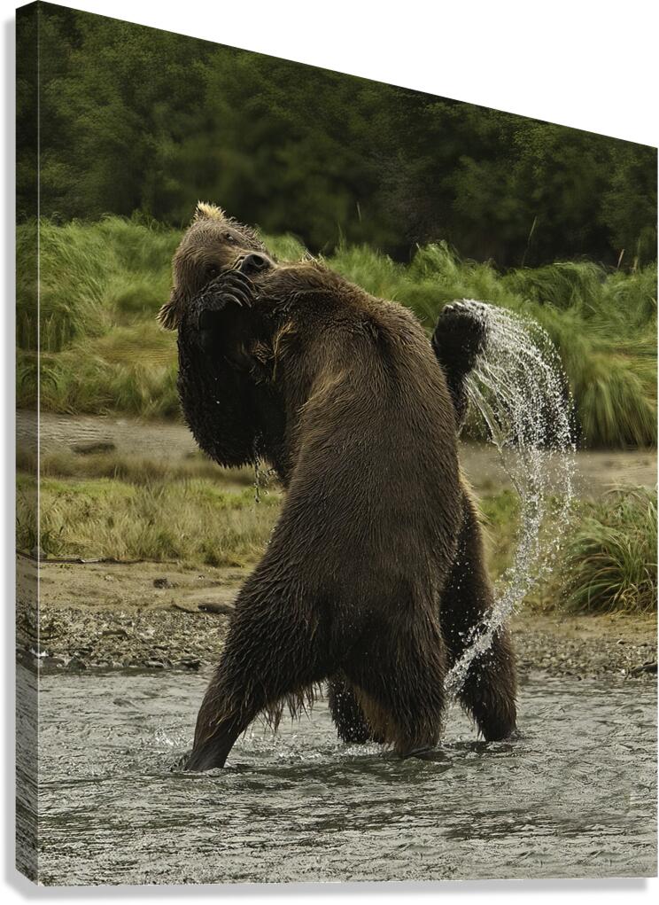 ACT 01390 Canvas Print