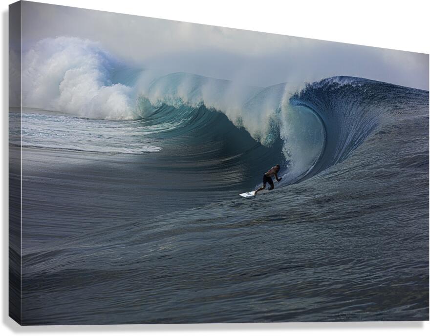 ACT 01363 Canvas Print