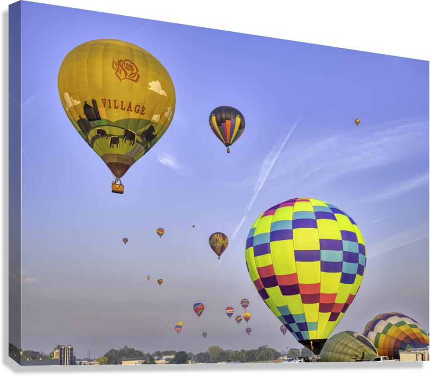 ACT 01355 Canvas Print