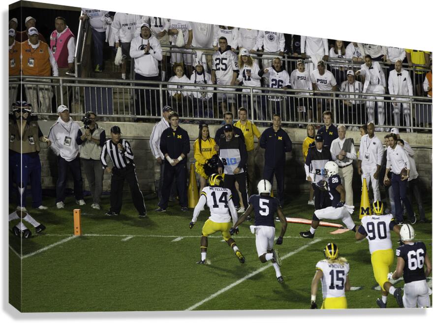 ACT 01378 Canvas Print