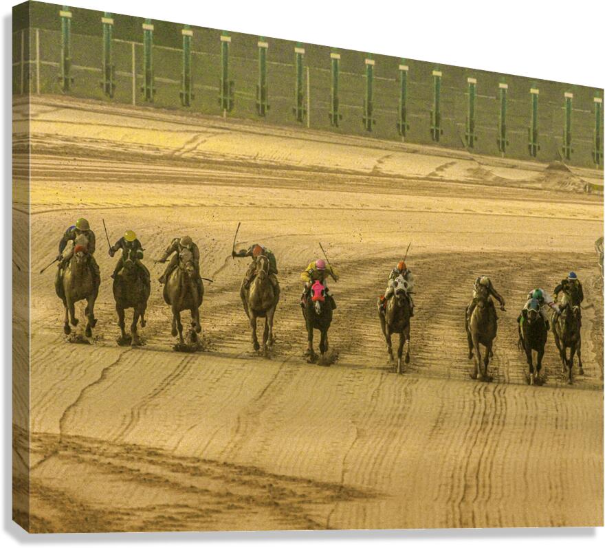 ACT 01392 Canvas Print