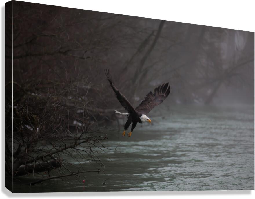 BIR 01729 Canvas Print