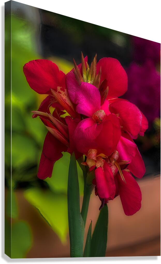 FLO 01802 Canvas Print