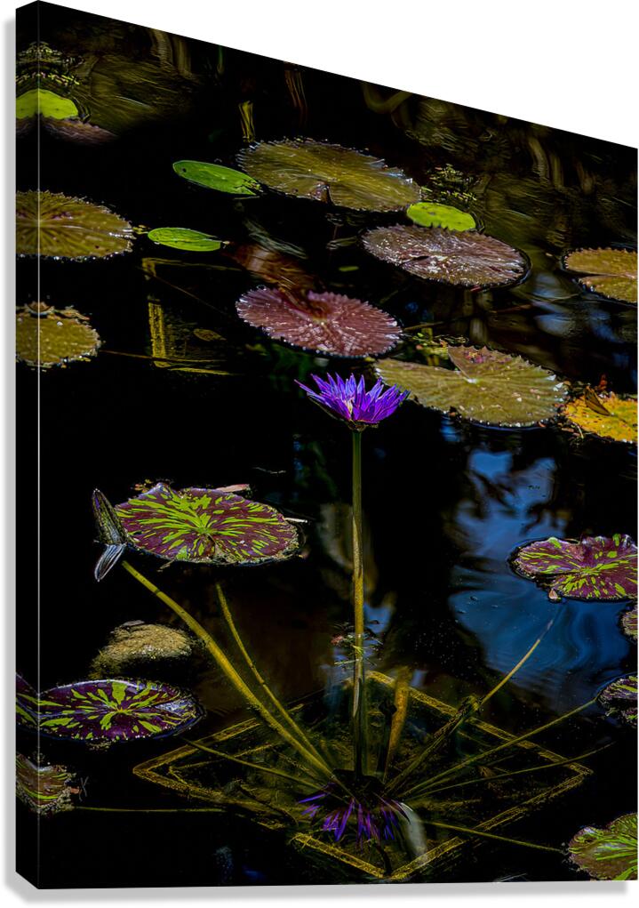 FLO 01820 Canvas Print