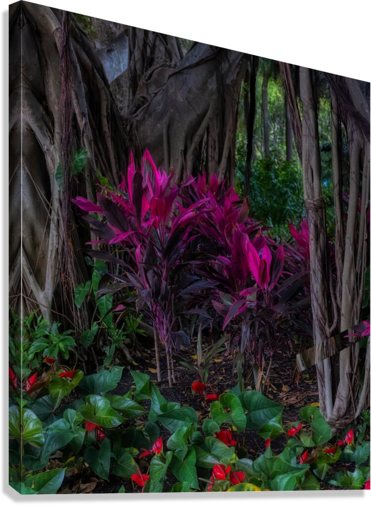 FLO 01814 Canvas Print