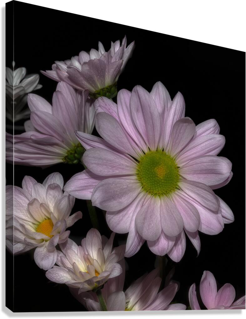 FLO 01761 Canvas Print