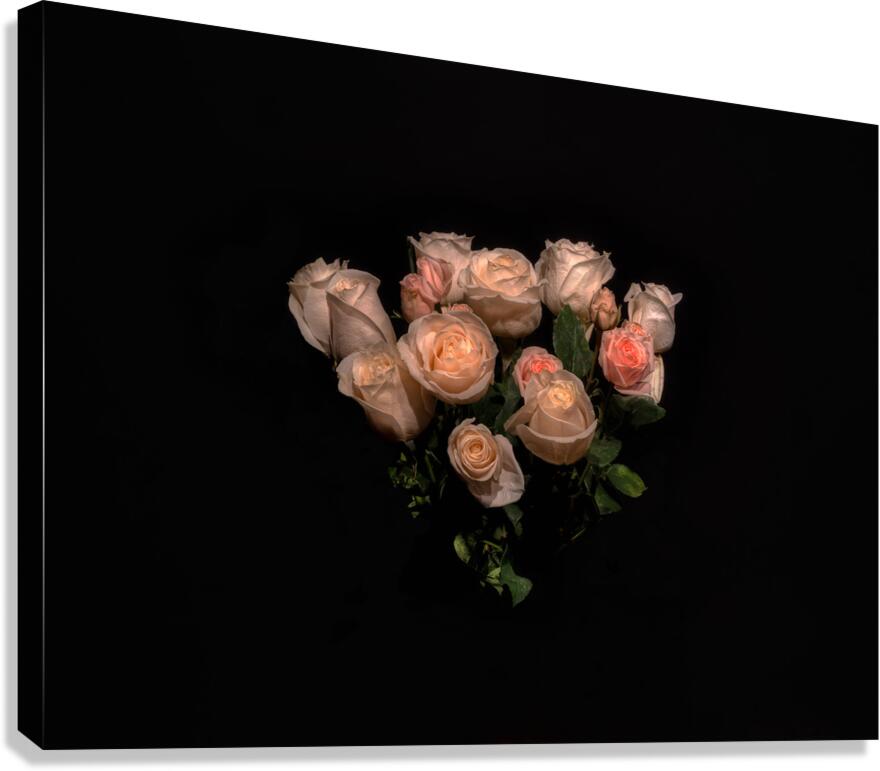 FLO 01816 Canvas Print