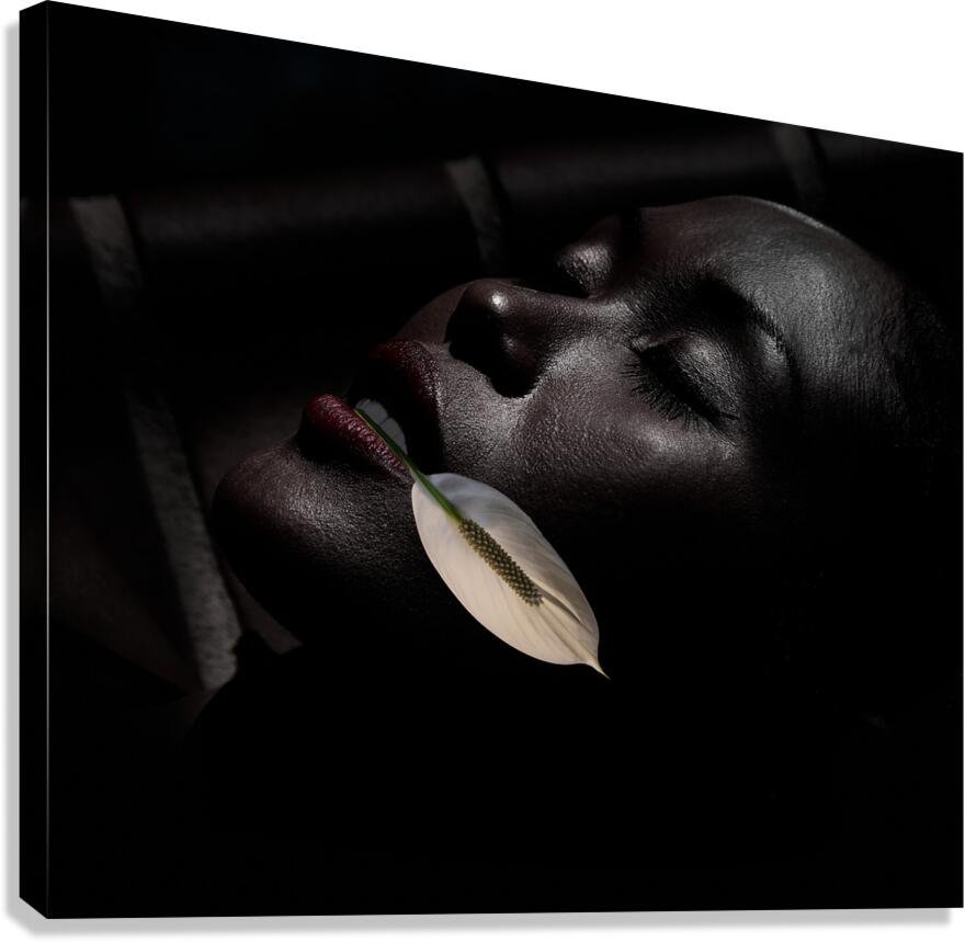 PEO 01852 Canvas Print