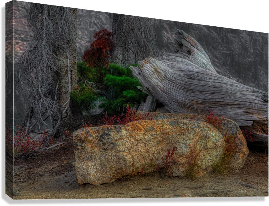 MIS 01910 Canvas Print