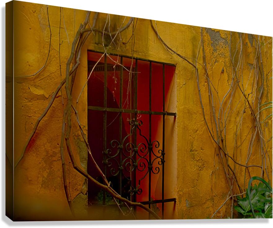 MIS 01935 Canvas Print