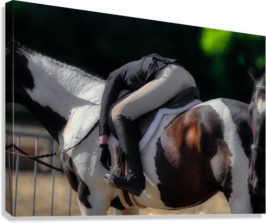 MIS 01912 Canvas Print