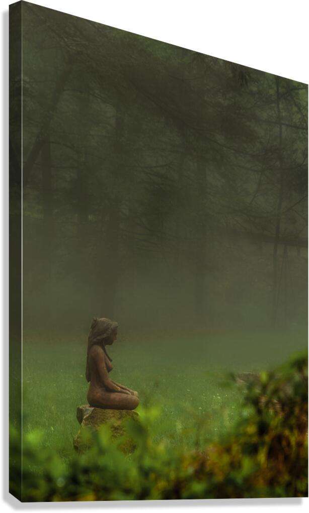 MIS 01932 Canvas Print