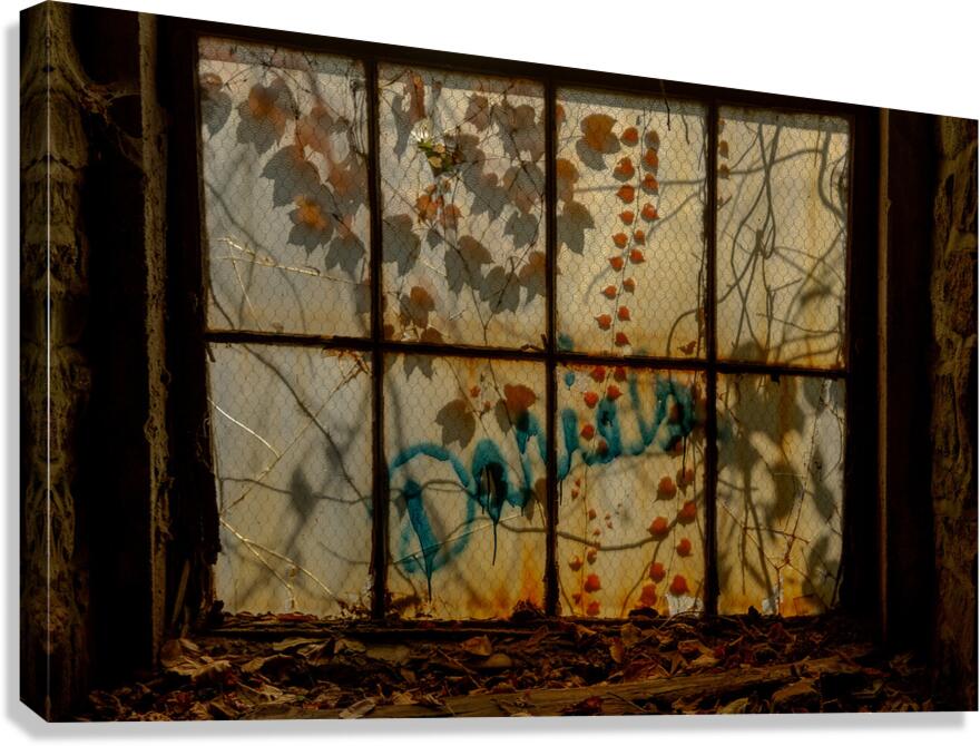 MIS 01929 Canvas Print