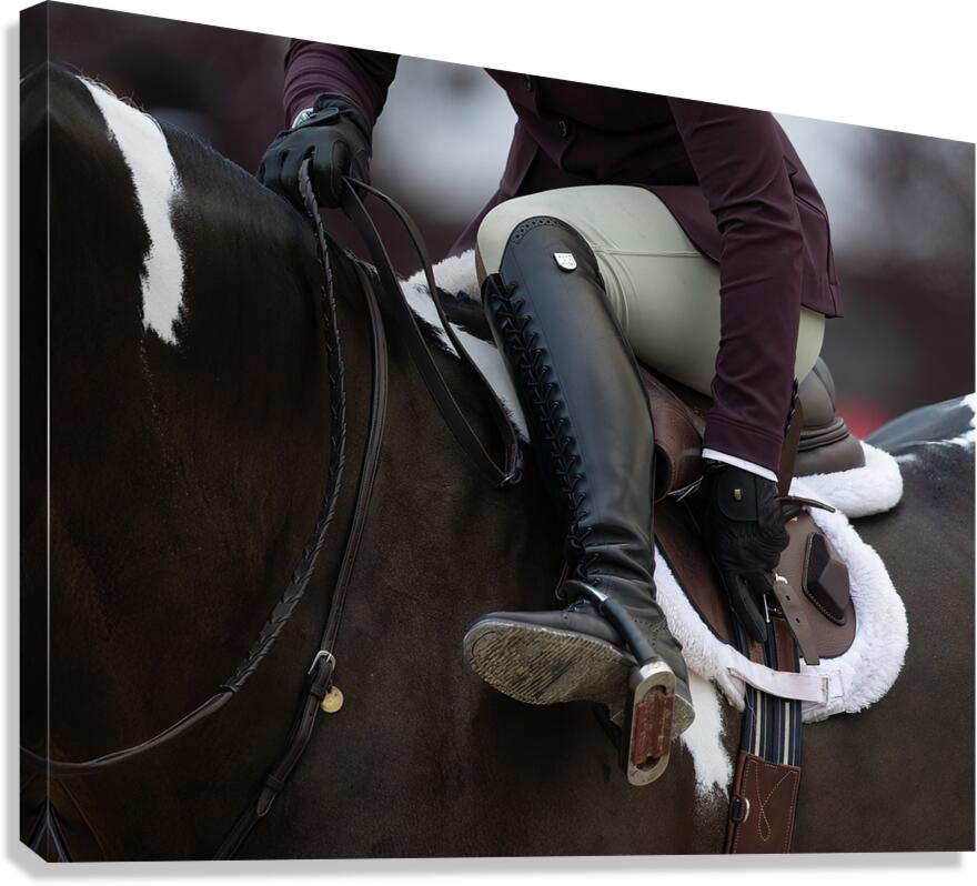 MIS 01904 Canvas Print