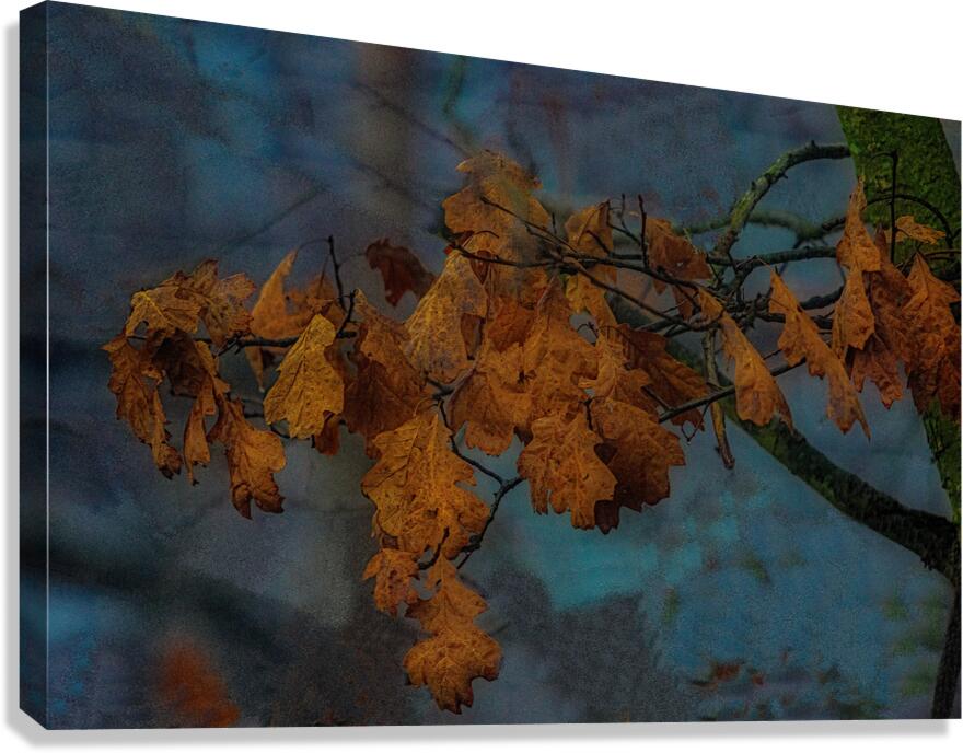 MIS 01916 Canvas Print