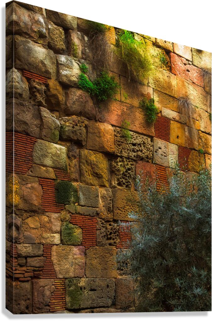 MIS 01925 Canvas Print