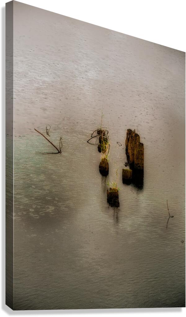 MIS 01930 Canvas Print