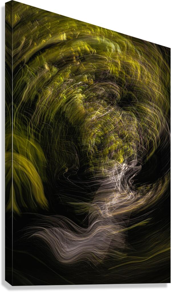 ABS 01981 Canvas Print