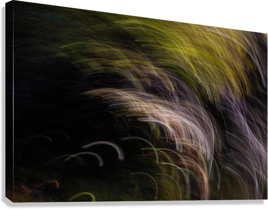 ABS 01979 Canvas Print