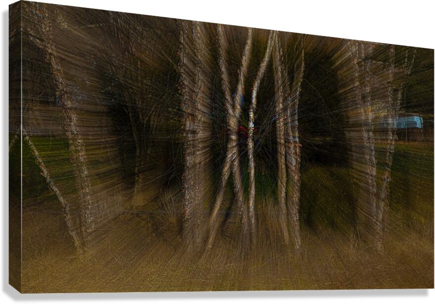 ABS 01995 Canvas Print