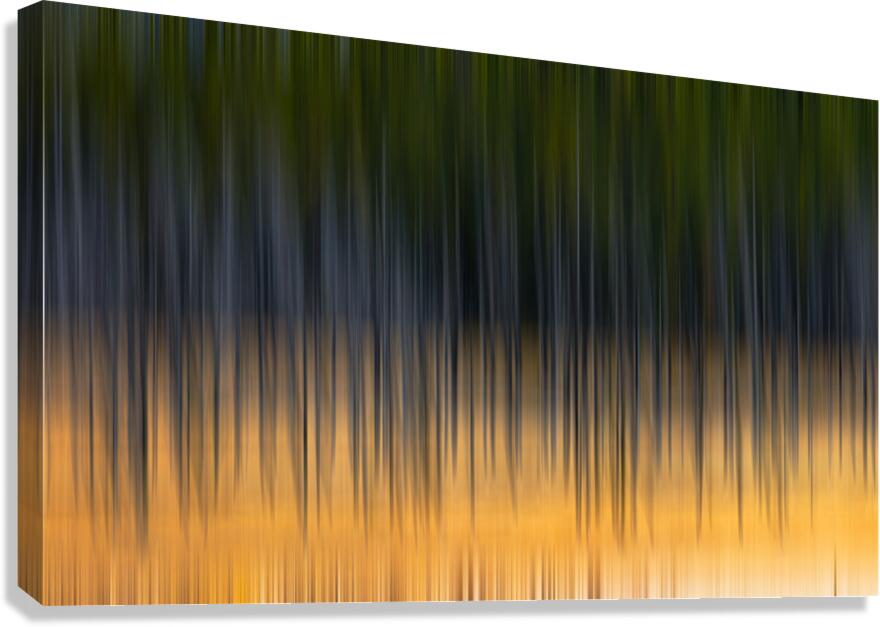 ABS 01942 Canvas Print