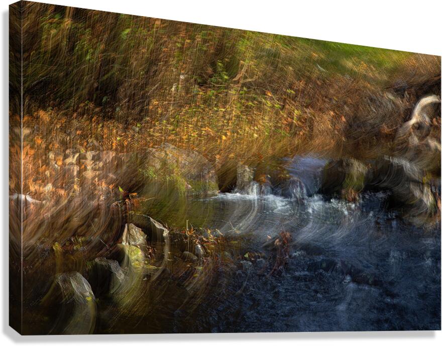 ABS 01978 Canvas Print