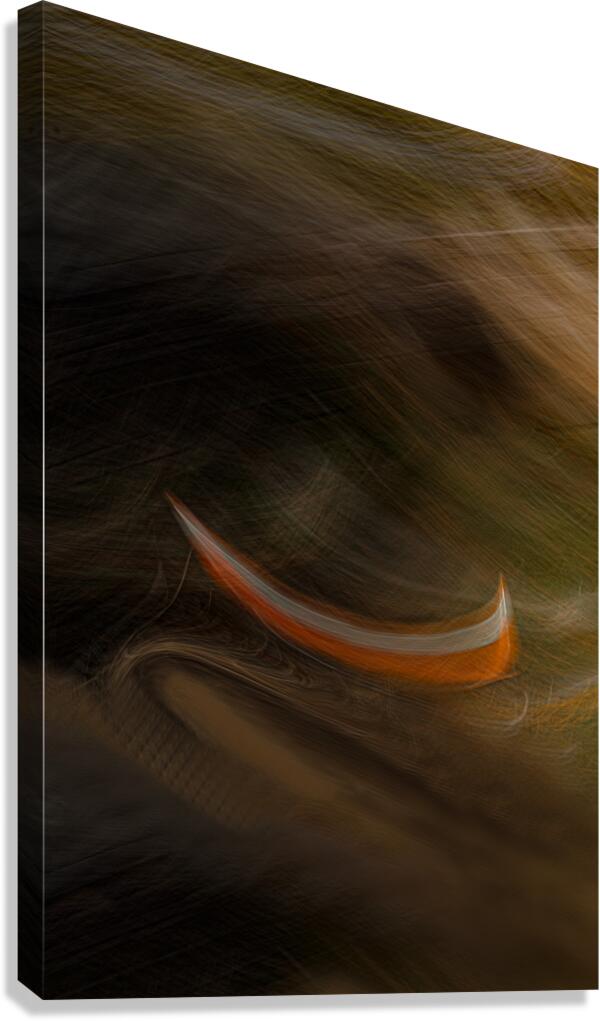 ABS 01984 Canvas Print
