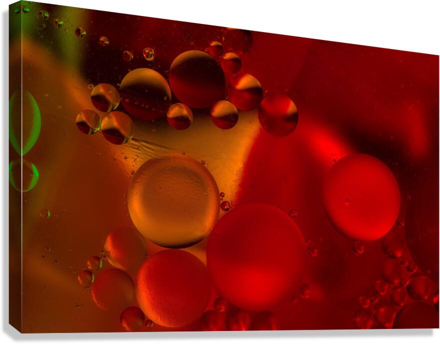 ABS 01946 Canvas Print
